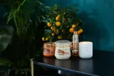 Sanctuary Spa Signature Natural Oils - Сольный пилинг питание и увлажнение, 650 г — фото 6