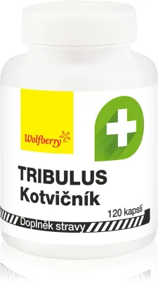 Трибулус Wolfberry Tribulus terrestris для энергии и тонуса, 120 капсул