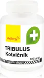 Трибулус Wolfberry Tribulus terrestris для энергии и тонуса, 120 капсул — фото 1