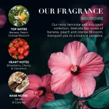 Baylis & Harding Boudoire Tropical Paradise - Подарочный набор в металлической коробке для лица — фото 3