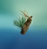 David Beckham True Instinct - Освежающий дезодорант в спрее, 150 мл — фото 2
