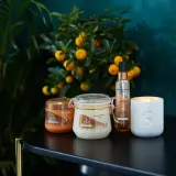 Sanctuary Spa Signature Natural Oils - Увлажняющее масло для тела в спрее, 150 мл — фото 3