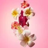 Sol de Janeiro Beija Flor Elasti-Body Oil - Масло для тела, повышающее упругость кожи, 100 мл — фото 7