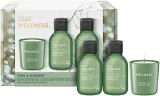 Baylis & Harding Wellness. Energise - Подарочный набор Имбирь, Лайм и Лист базилика Ginger, Lime & Basil Leaf — фото 1
