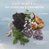 Moroccanoil Body Oud Mineral - Питательный крем для тела, 360 мл — фото 6
