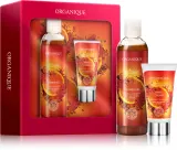 Organique Gift Set Spicy Delight - Праздничный набор подарочный для рук и тела — фото 1