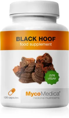 Добавка с экстрактом грибов MycoMedica Black Hoof 30% в капсулах, для жизненного тонуса, 90 капсул