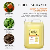 Baylis & Harding Sweet Mandarin & Grapefruit - Мыло жидкое Baylis Harding Sweet Mandarin Grapefruit для рук, сменный блок, 5000 мл — фото 2