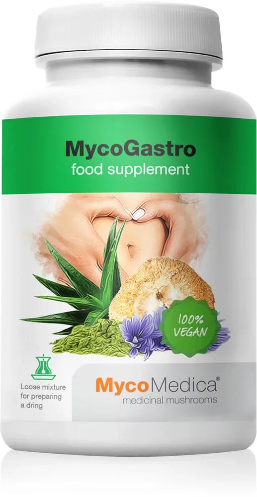 Добавка с экстрактом грибов MycoMedica MycoGastro для пищеварения, 90 г