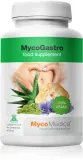 Добавка с экстрактом грибов MycoMedica MycoGastro для пищеварения, 90 г — фото 1