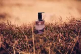 Жидкое мыло для рук Scottish Fine Soaps Wild Heather Hand Wash с ароматом вереска, 300 мл — фото 2