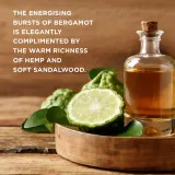 Baylis & Harding The Fuzzy Duck Bergamot, Hemp & Sandalwood - Набор косметики для лица: подарочный набор косметической сумки для мужчин — фото 3