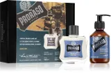 Proraso Set Beard Classic - Подарочный набор для мужчин Азур Лайм Azur Lime — фото 1