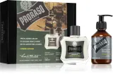Proraso Set Beard Classic - Подарочный набор для мужчин Кипарис и Ветивер Cypress and Vetyver — фото 1