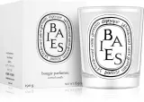 Diptyque Baies - душистая свеча, 190 г — фото 2