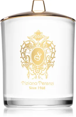Tiziana Terenzi Spicy Snow - Ароматическая свеча с деревянным фитилем, с деревянным фитилем 900 г