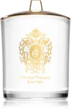 Tiziana Terenzi Spicy Snow - Ароматическая свеча с деревянным фитилем — фото 1