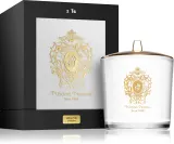 Tiziana Terenzi White Fire - Ароматическая свеча с деревянным фитилем с деревянным фитилем, 500 г — фото 2