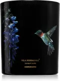 Vila Hermanos Jungletopia Hummingbird - Ароматическая свеча, 200 г — фото 1