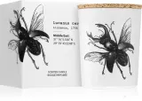 Vila Hermanos Insect Lucanus Cervus - Ароматическая свеча, 75 г — фото 2