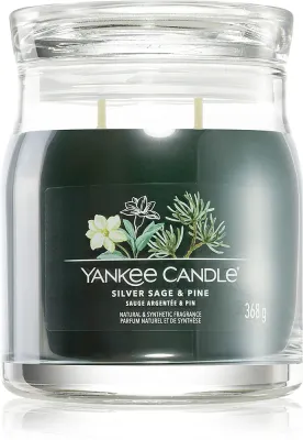 Yankee Candle Silver Sage & Pine - Ароматическая свеча Signature, Signature 368 г