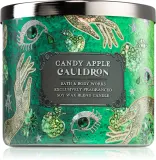Bath & Body Works Candy Apple Cauldron - Ароматическая свеча, 411 г — фото 1