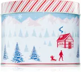 DW Home Scene & Stripes Peppermint Bark - Ароматическая свеча — фото 1