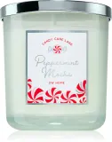DW Home Candy Cane Lane Peppermint Mocha - Ароматическая свеча, 264 г — фото 1