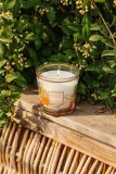 Baobab Collection My First Baobab À Saint-Tropez - Ароматическая свеча, 8 см — фото 2