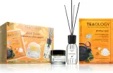 Teaology Kombucha Tea Energizing Set - Подарочный набор для лица, 3 шт — фото 1