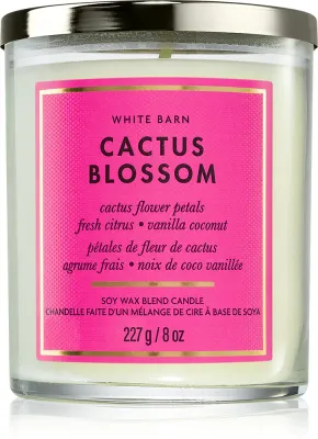 Bath & Body Works Cactus Blossom - Ароматическая свеча Bath Body Works Cactus Blossom, из соевого воска, свежий сладкий аромат, 227 г, 227 г