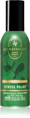 Bath & Body Works Eucalyptus - Освежитель воздуха в аэрозольной упаковке, 42.5 г