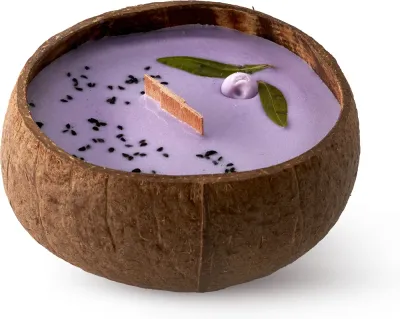 Свеча ароматическая Tropicandle Blueberry Vanilla фруктовая, дизайнерская, 350 мл с деревянным фитилем