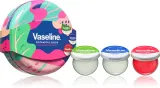 Vaseline Botanical Bliss Set - Подарочный набор для губ, 3 шт — фото 1