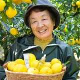 Shiseido Waso Yuzu-C - Сыворотка для лица с витамином C, которая придает сияние, 28 мл — фото 3
