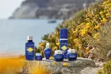 L’Occitane Immortelle Precious - Бальзам для глаз против морщин, отеков и темных кругов под глазами, 15 мл — фото 2