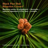 Korres Black Pine Primus - Ночной крем для лица против признаков старения, 40 мл — фото 7