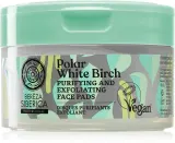 Natura Siberica Polar White Birch - Крем для лица с отшелушивающими частицами для жирной и проблемной кожи, 20 шт — фото 1