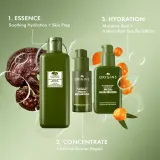 Origins Dr. Andrew Weil for Origins Mega-Mushroom Fortifying Emulsion with Reishi and Seabuckthorn - Увлажняющий и успокаивающий крем для лица, 100 мл — фото 4