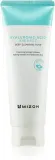 Mizon Hyaluronic Acid Sherbet - Пена глубокого очищения, 150 мл — фото 1
