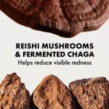 Origins Dr. Andrew Weil for Origins Mega-Mushroom Relief & Resilience Soothing Treatment Lotion - в контексте того, что это тоник для лица: смягчающий и успокаивающий тоник для лица — фото 6