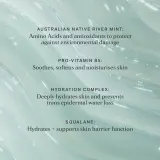 Alpha-H High Tide Water Cream - Крем увлажняющий, 50 мл — фото 3