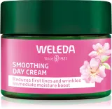Weleda Wild Rose & White Tea - Розовый крем для лица, осветляющий на день, 40 мл — фото 1