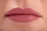 Paese The Kiss Lips Liquid Lipstick - Матовая жидкая помада, оттенок 02 nude coral — фото 8