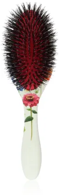 Denman Floral Fantasies D81M Style & Shine Brush - Расческа для волос, 1 шт