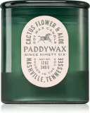 Paddywax Vista Cactus Flower & Aloe - душистая свеча, 340 г — фото 1