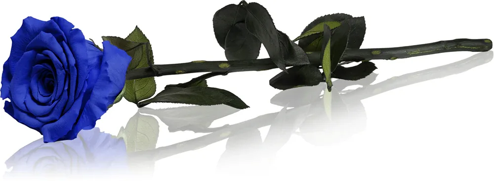 RoseAmor Blue - Стабилизированная роза на стебле, 1 шт