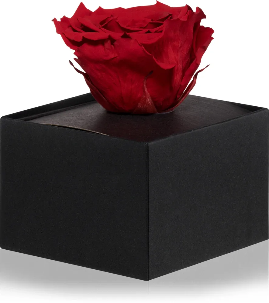 Стабилизированный цветок для дома RoseAmor Red красный, 1 шт