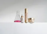 Sesderma Ferulac Antioxidant Gel-Cream - Интенсивный гель-крем против морщин, 50 мл — фото 2