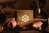 Notino Advent Calendar 2025 - Адвентский календарь ограниченного издания для женщин — фото 2